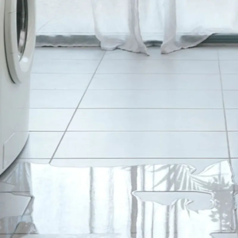 Appliance Leak Cleanup in San Leon, TX