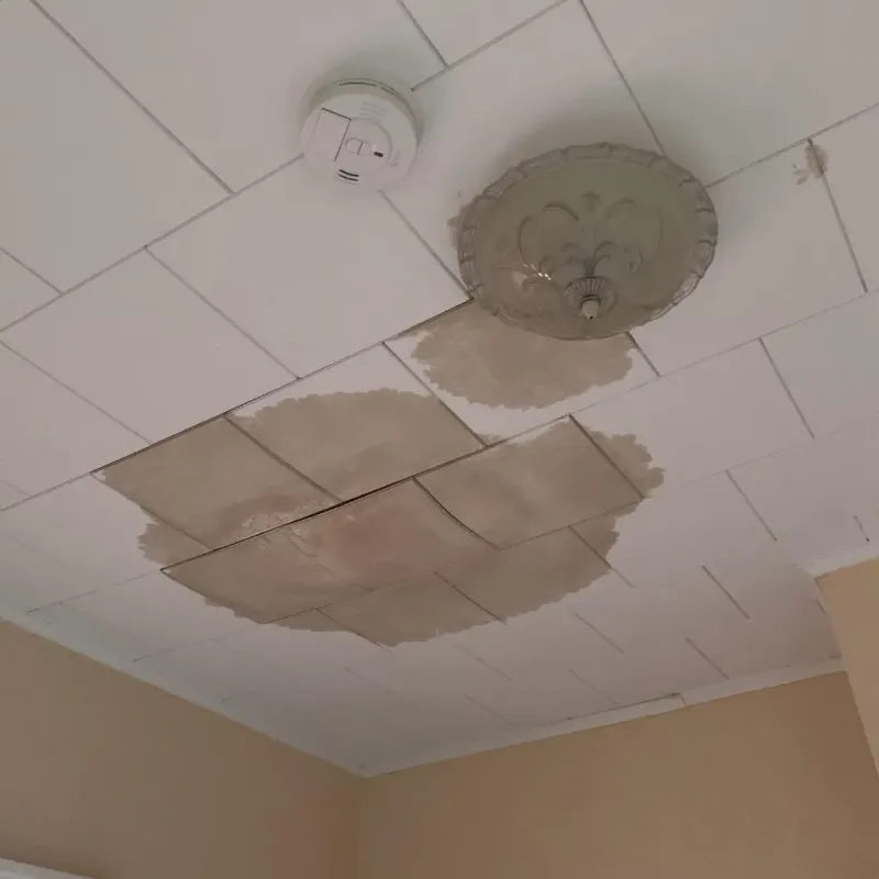 Ceiling Water Damage Repair in San Leon, TX